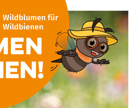 Wildbienen erkunden